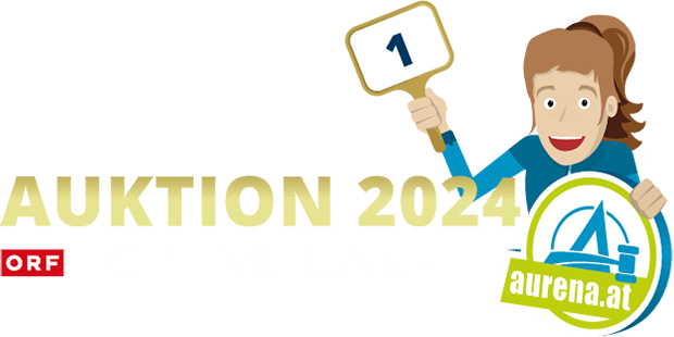 Auktion 2024